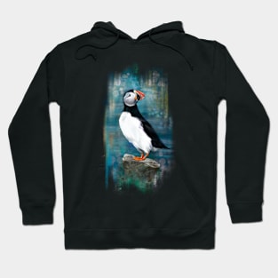 Summer Puffin Hoodie